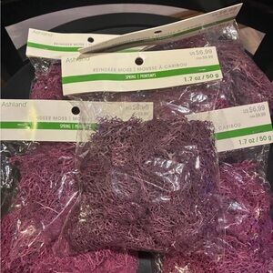 Ashland Purple Preserved Reindeer Moss - Decorative Craft Moss 6 Packs
